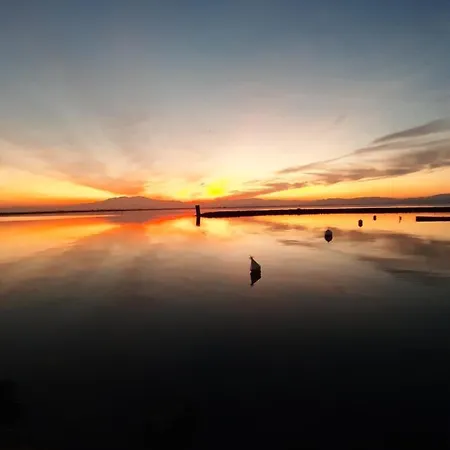 Lägenhet T2 Cap Coudalere Le Barcarès