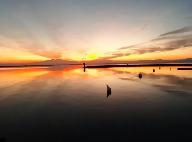 Lägenhet T2 Cap Coudalere Le Barcarès